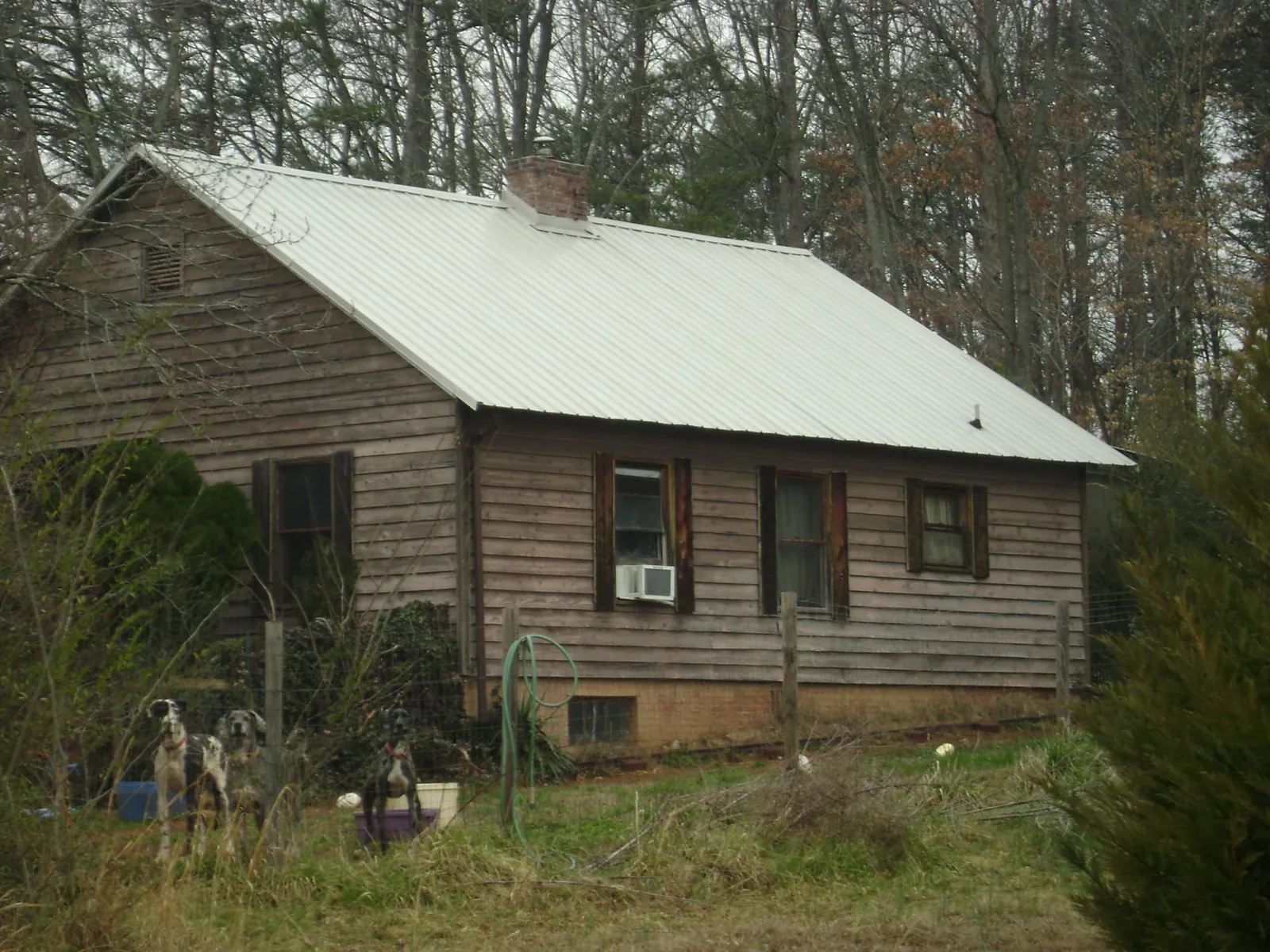 White metal roof on an old wood sided farmhouse, from a Asphalt Shingle Roof Repair job in Clairfield